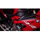 Crash  pad  BMW S1000RR 2010-